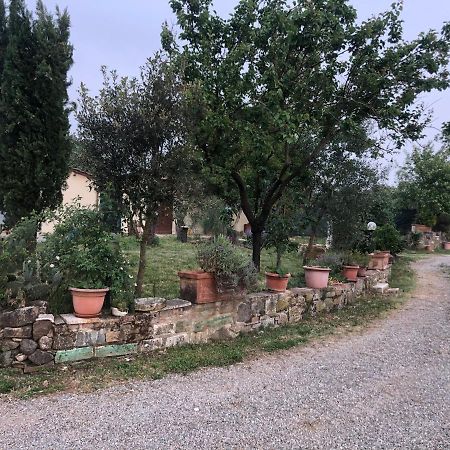 Вілла Agriturismo Oria Bianca Сан-Куїрико-д'Орча Екстер'єр фото